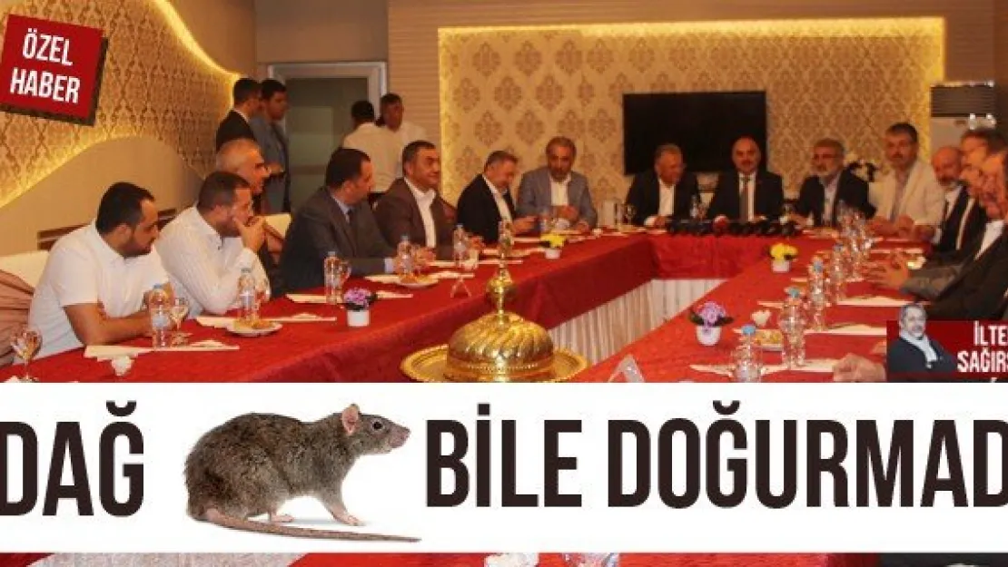 DAĞ FARE BİLE DOĞURMADI