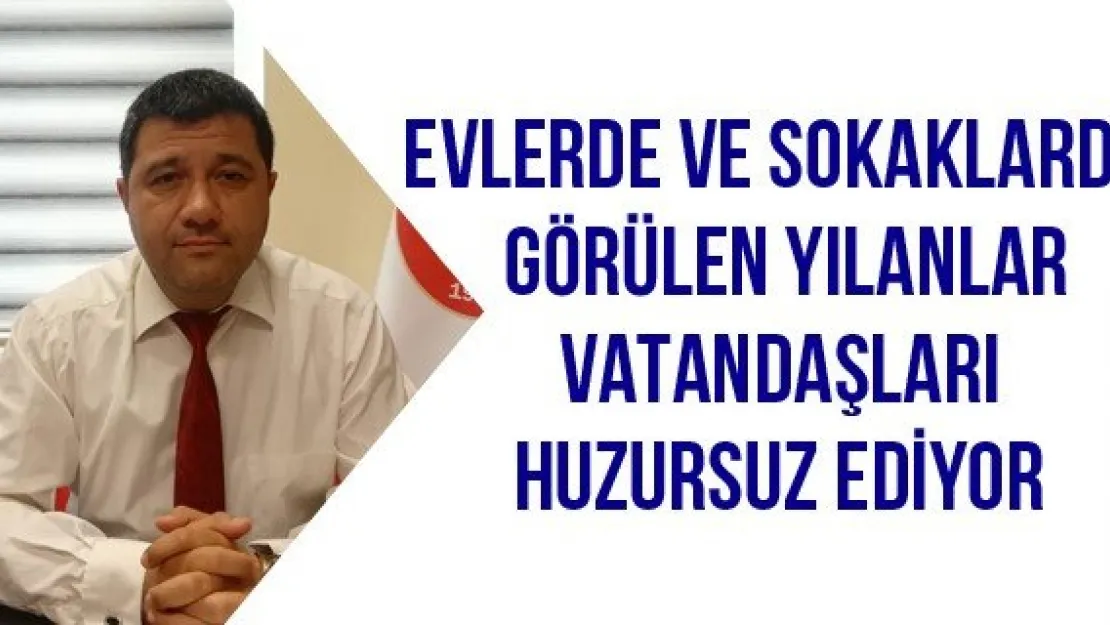 Evlerde ve sokaklarda görülen yılanlar vatandaşları huzursuz ediyor