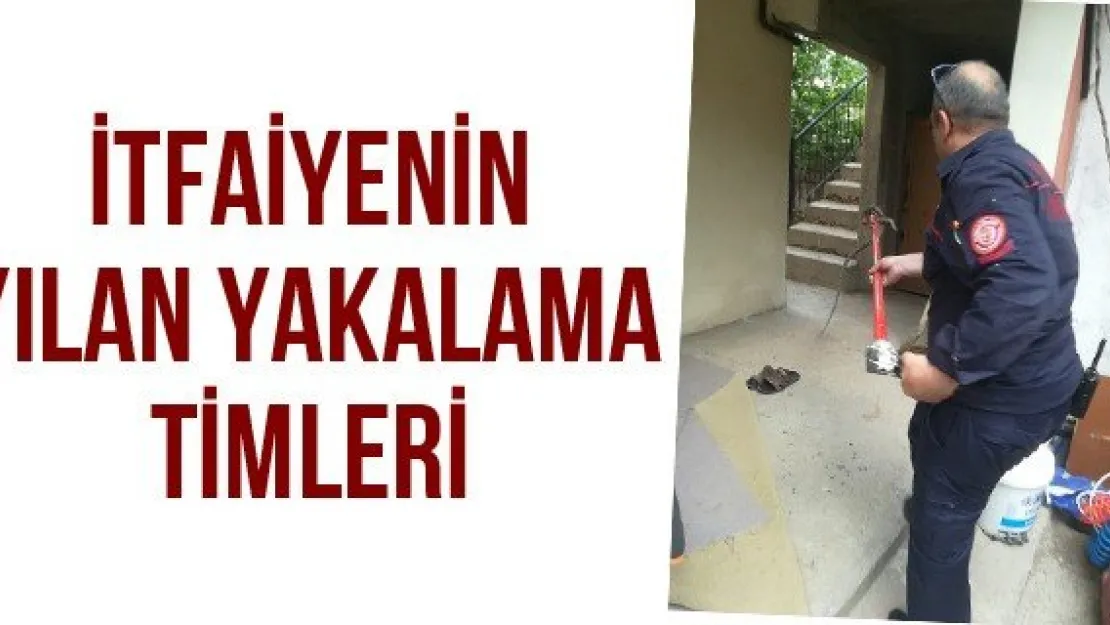 İtfaiyenin yılan yakalama timleri