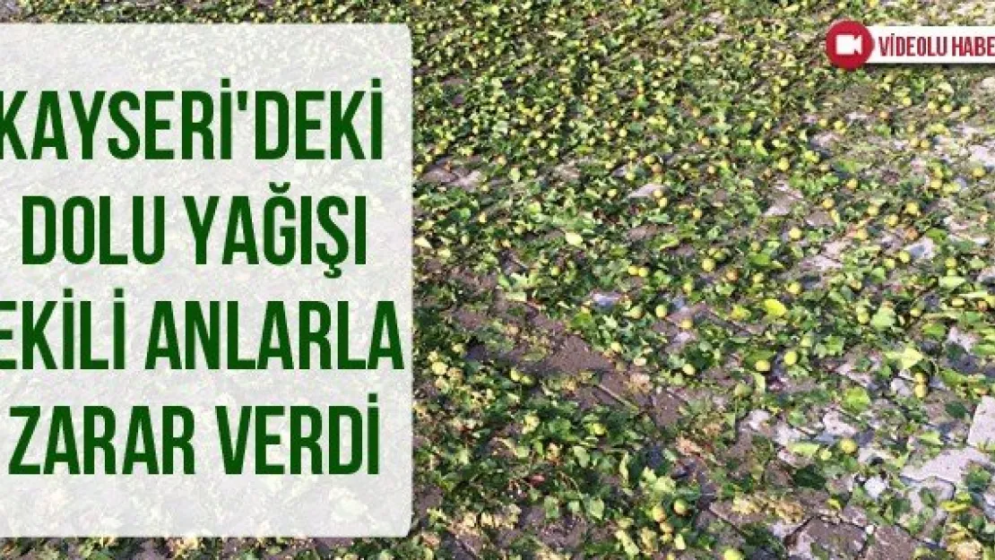 Kayseri'deki dolu yağışı ekili anlarla zarar verdi