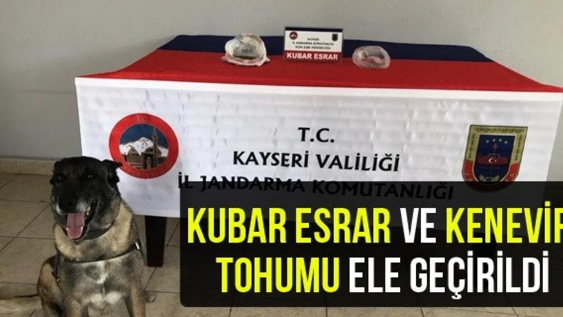 Kubar Esrar Ve Kenevir Tohumu Ele Geçirildi