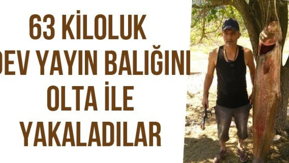 63 kiloluk dev yayın balığını olta ile yakaladılar