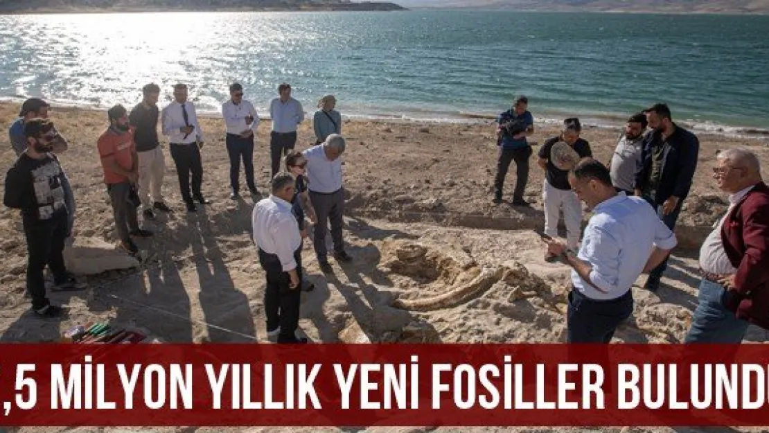 7,5 milyon yıllık yeni fosiller bulundu