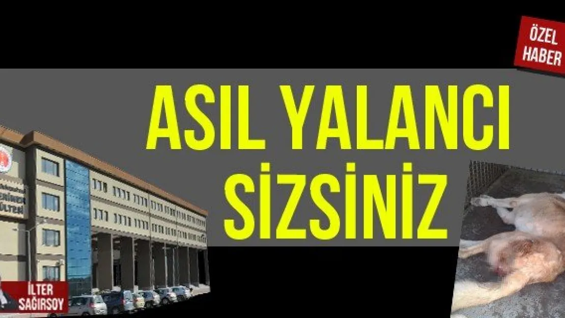 ASIL YALANCI SİZSİNİZ