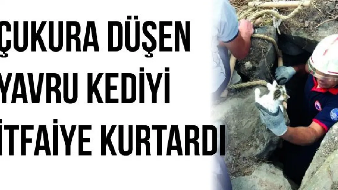 Çukura düşen yavru kediyi itfaiye kurtardı