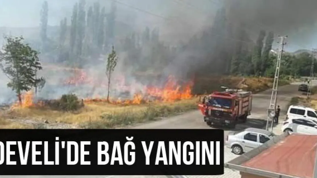 Develi'de bağ yangını