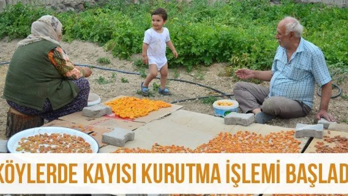 Köylerde kayısı kurutma işlemi başladı
