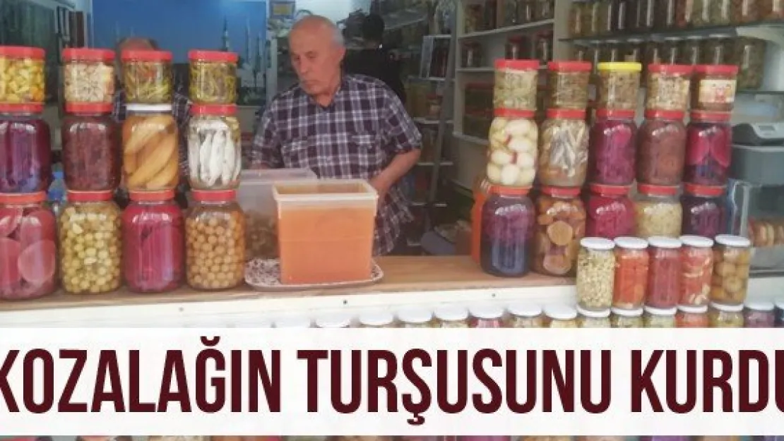 Kozalağın turşusunu kurdu