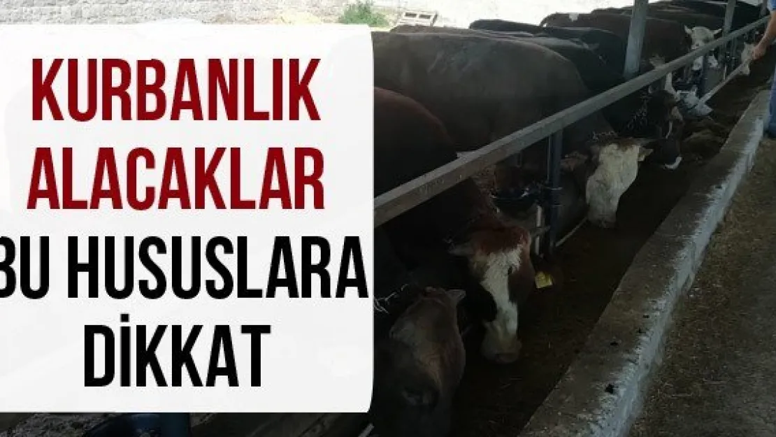 Kurbanlık alacaklar bu hususlara dikkat