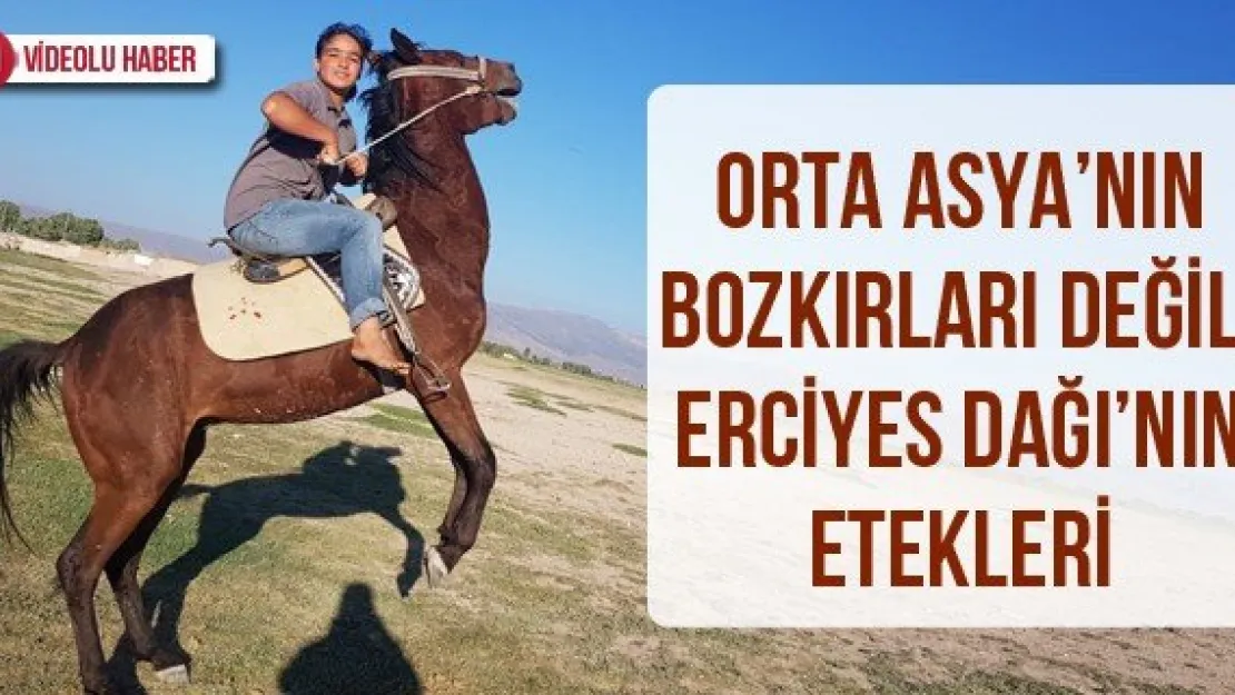 Orta Asya'nın bozkırları değil, Erciyes Dağı'nın etekleri