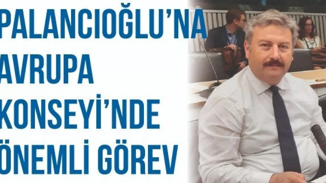 Palancıoğlu'na Avrupa Konseyi'nde önemli görev