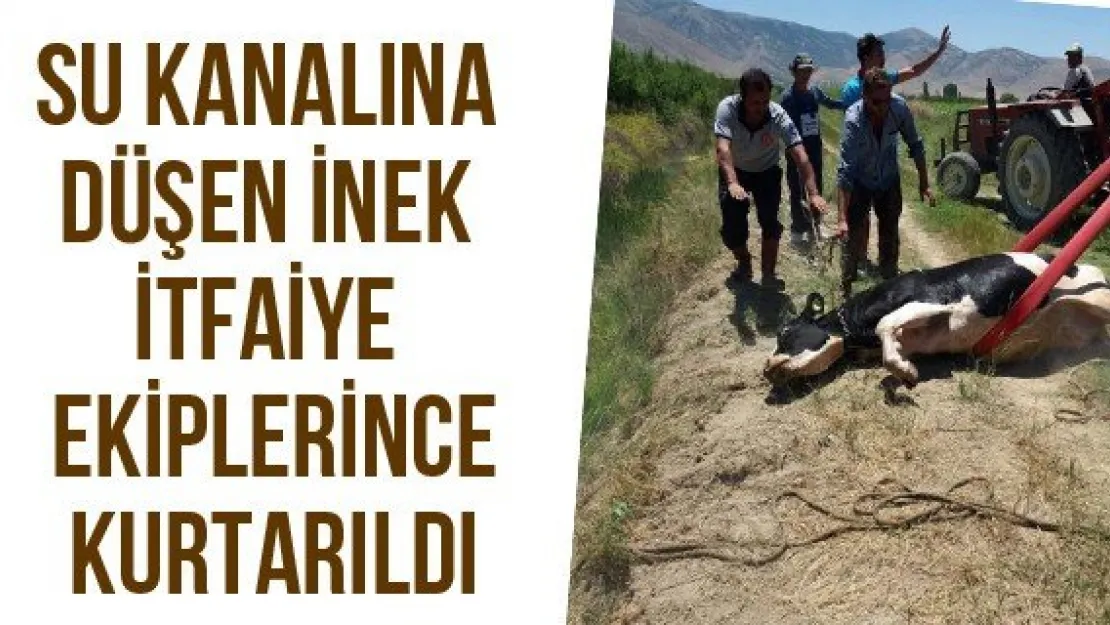 Su kanalına düşen inek itfaiye ekiplerince kurtarıldı