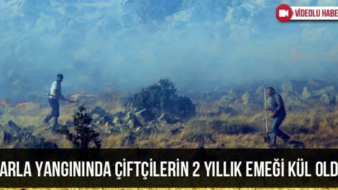 Tarla yangınında çiftçilerin 2 yıllık emeği kül oldu