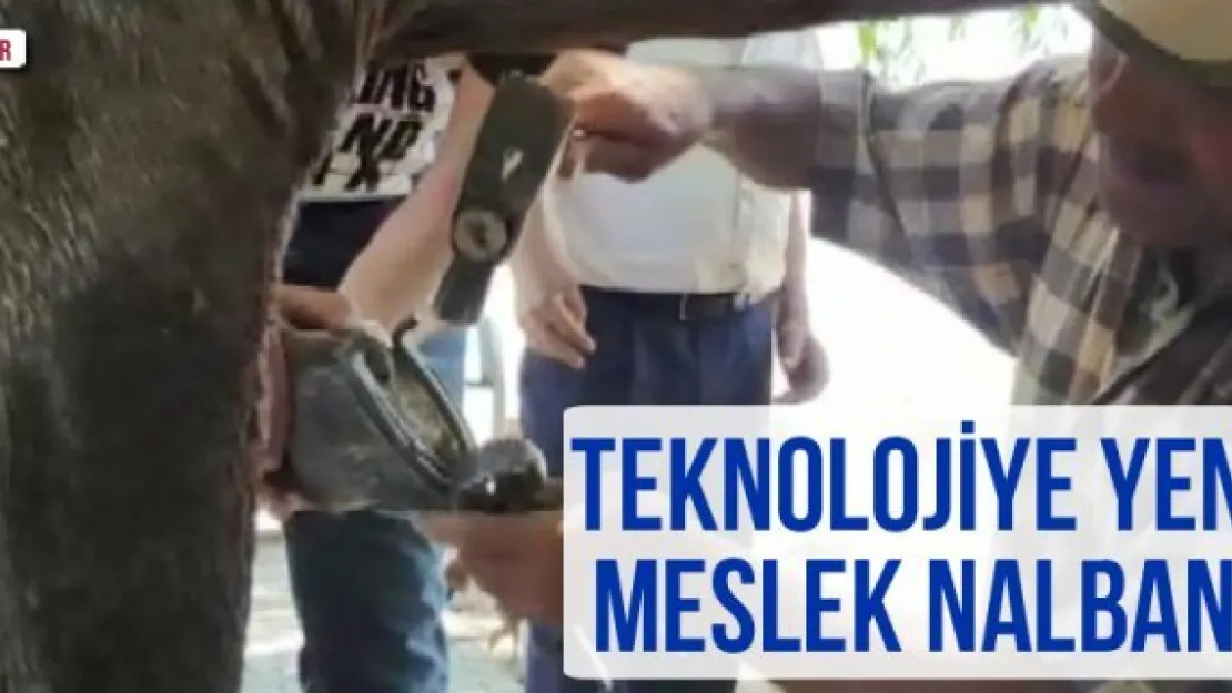 Teknolojiye yenilen meslek nalbantlık