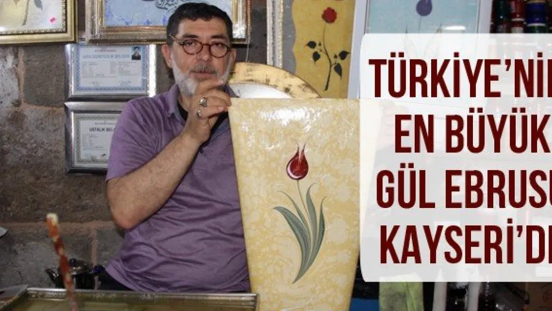 Türkiye'nin en büyük gül ebrusu Kayseri'de