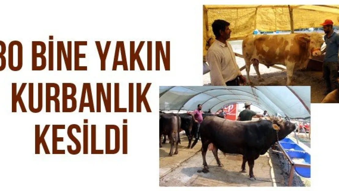 30 BİNE YAKIN KURBANLIK KESİLDİ