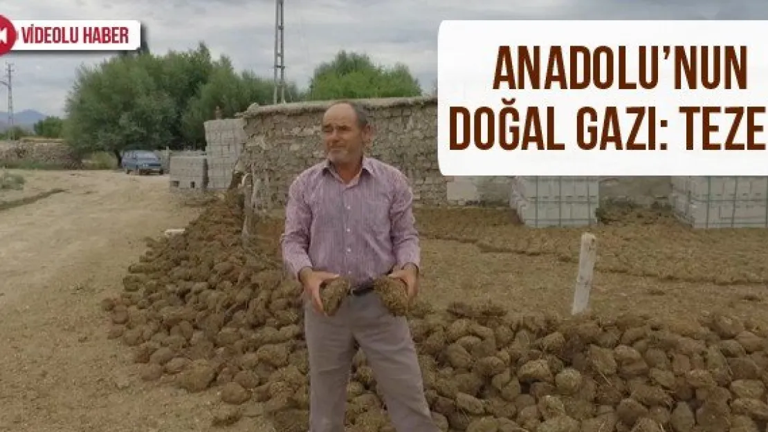 Anadolu'nun doğal gazı: Tezek