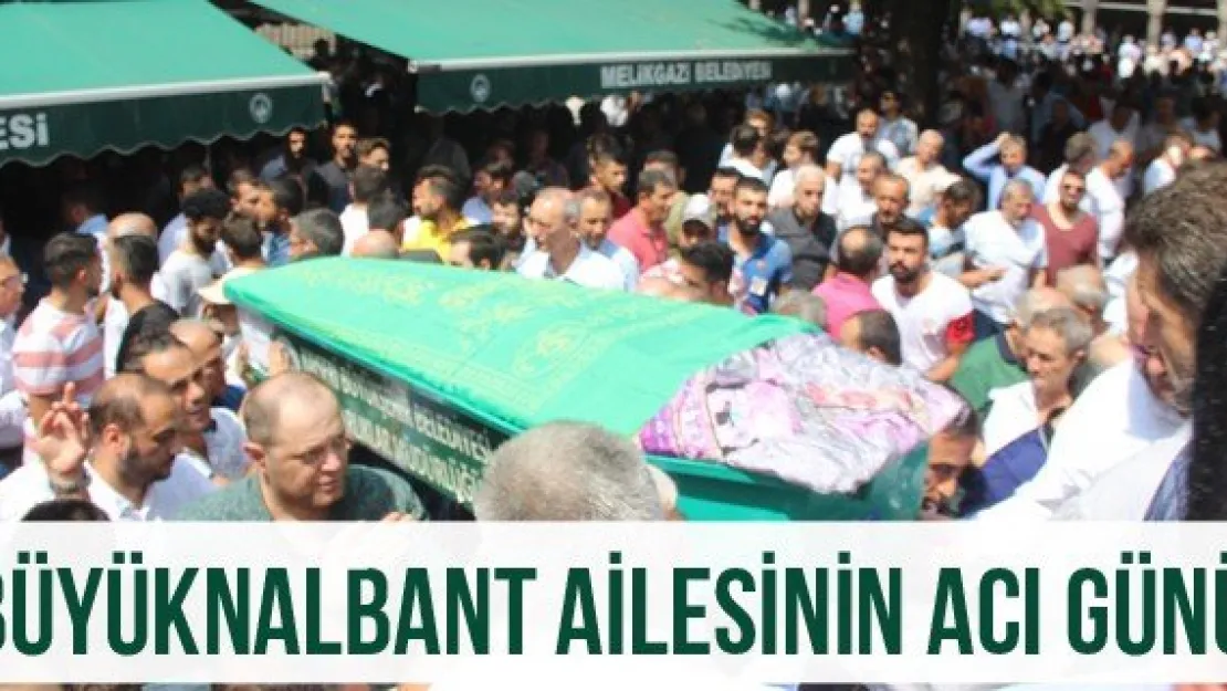 Büyüknalbant ailesinin acı günü