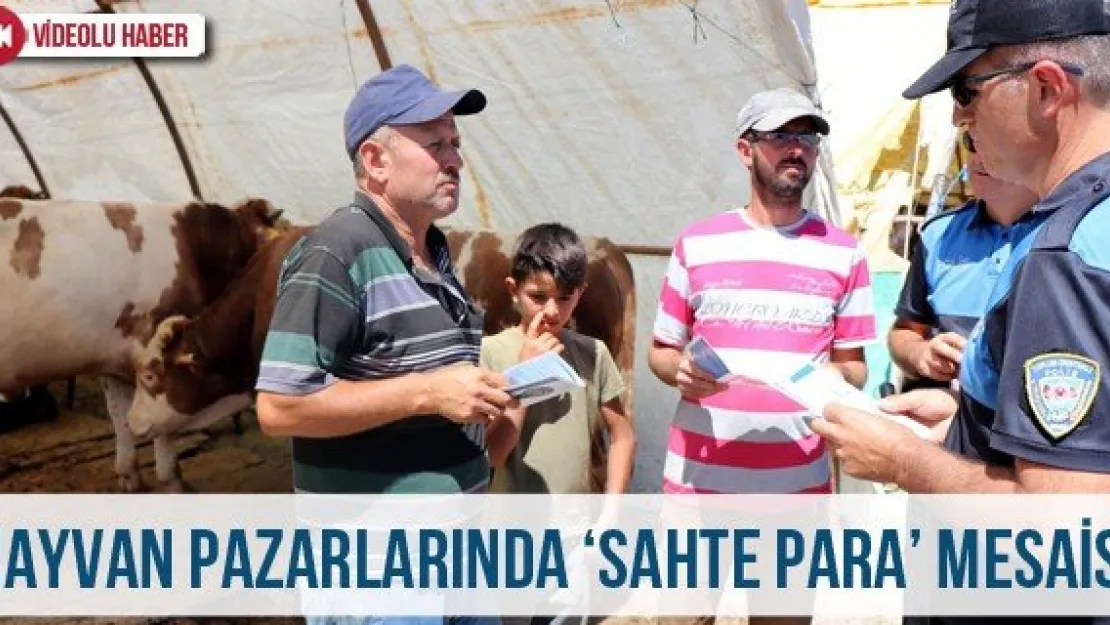 Hayvan pazarlarında 'Sahte para' mesaisi
