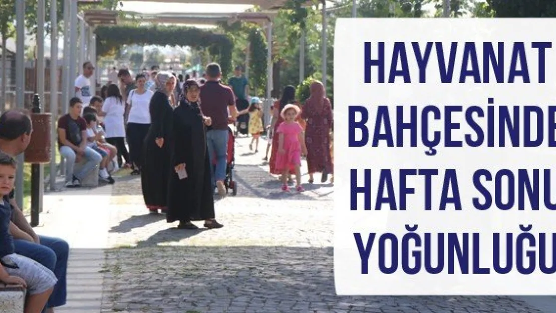 Hayvanat Bahçesinde hafta sonu yoğunluğu