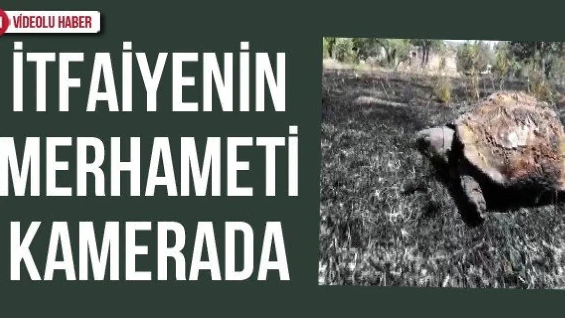 İtfaiyenin merhameti kamerada
