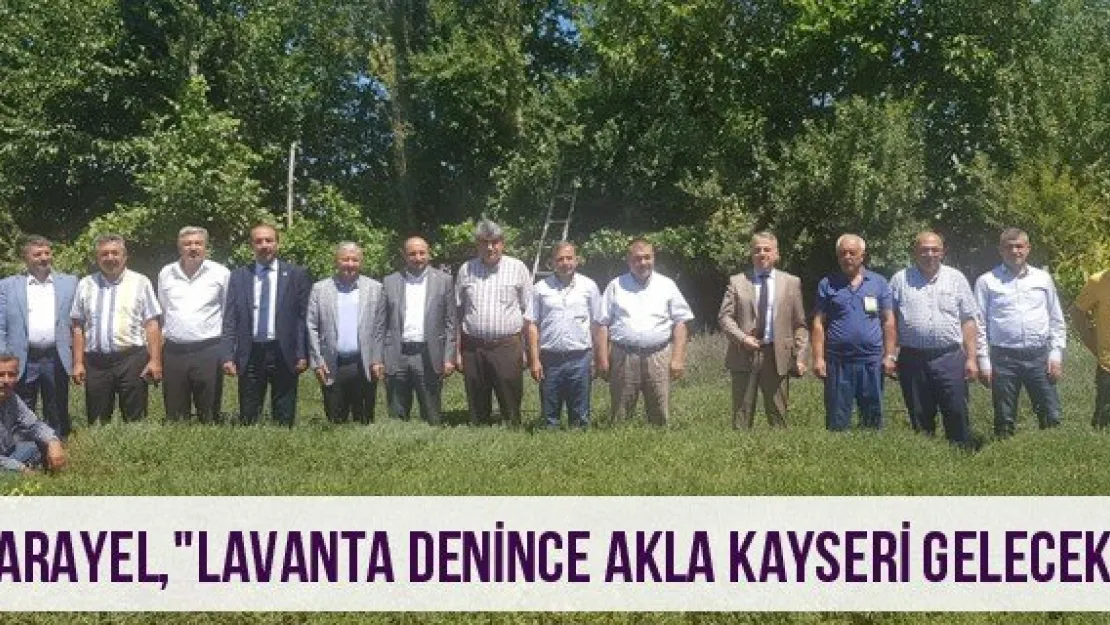 Karayel, &quotLavanta denince akla Kayseri gelecek"