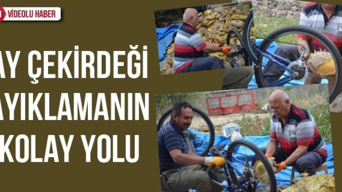 Ay çekirdeği ayıklamanın kolay yolu