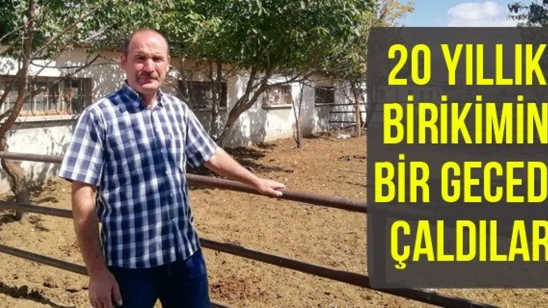 Çiftçinin 20 Yıllık Birikimini Bir Gecede Çaldılar