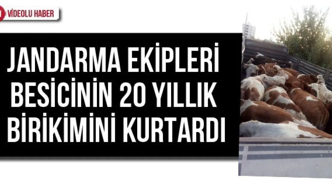Jandarma ekipleri besicinin 20 yıllık birikimini kurtardı