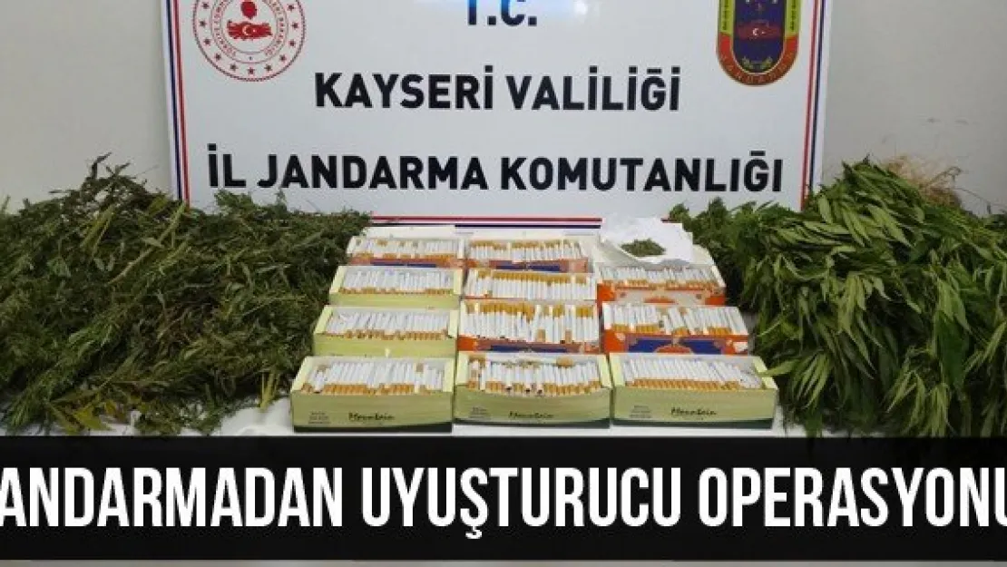 Jandarmadan uyuşturucu operasyonu