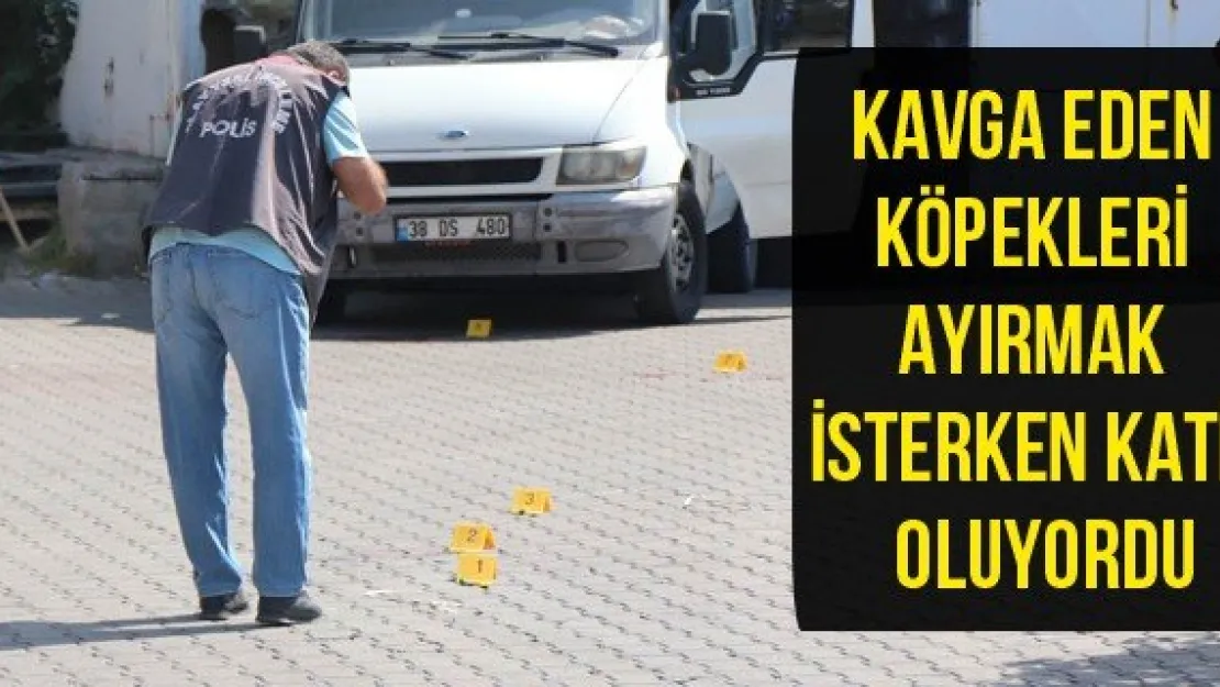 Kavga eden köpekleri ayırmak isterken katil oluyordu