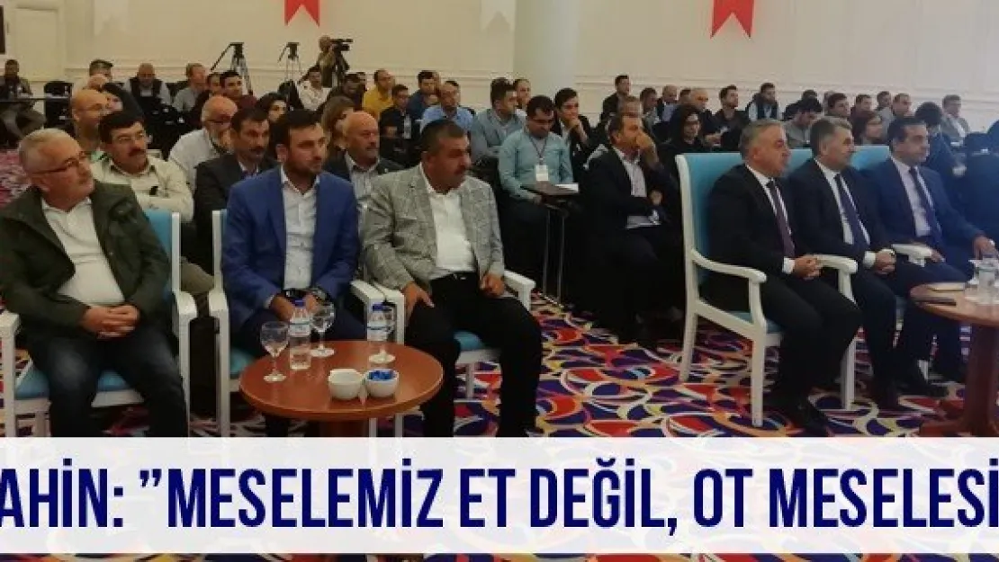 Şahin: 'Meselemiz et değil, ot meselesi'