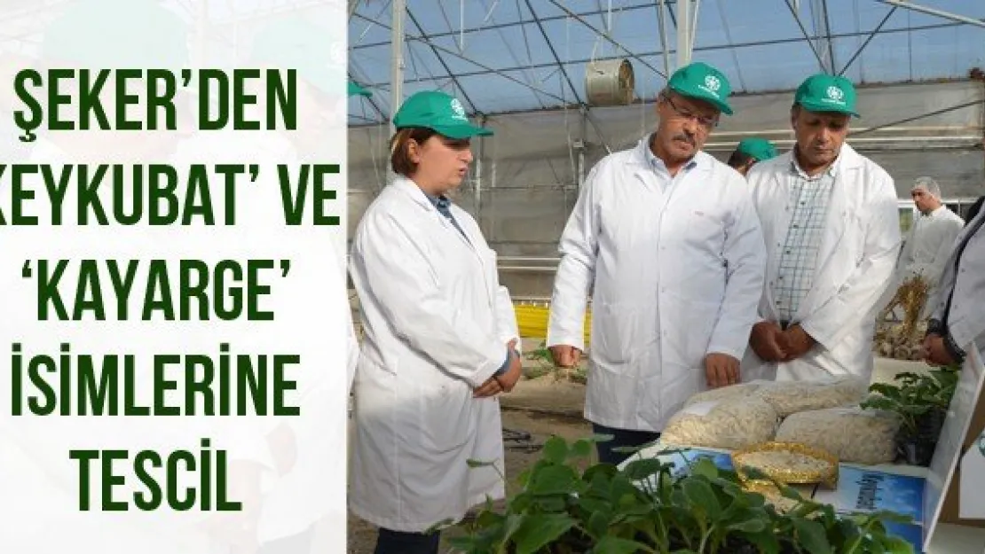 Şeker'den 'Keykubat' ve 'Kayarge' isimlerine tescil