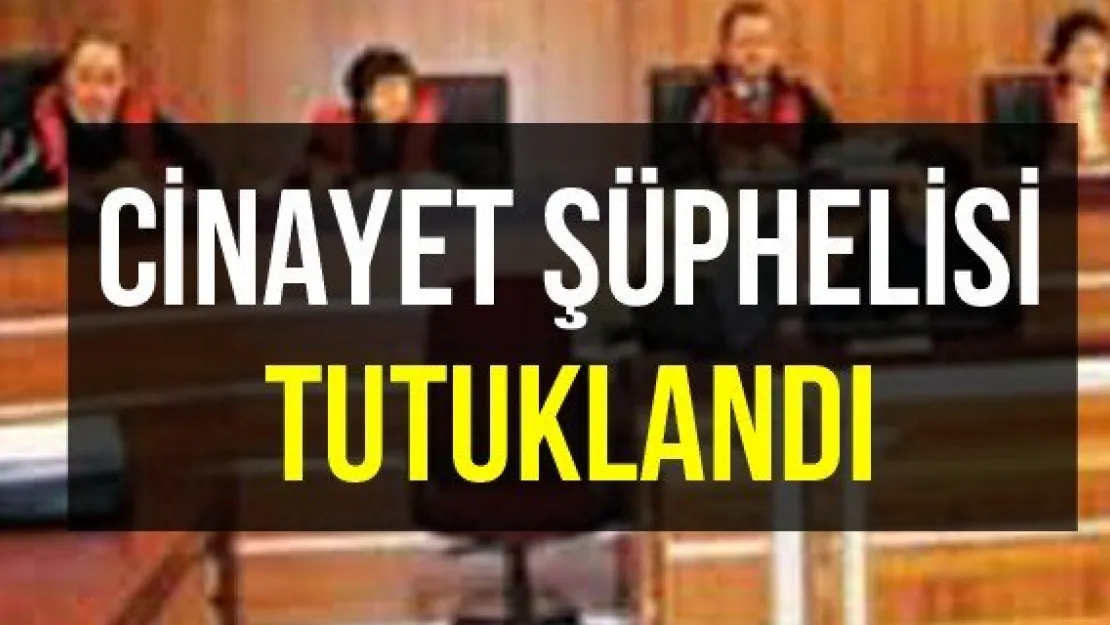 Cinayet şüphelisi tutuklandı