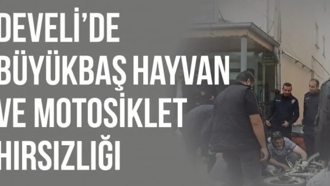 Develi'de büyükbaş hayvan ve motosiklet hırsızlığı