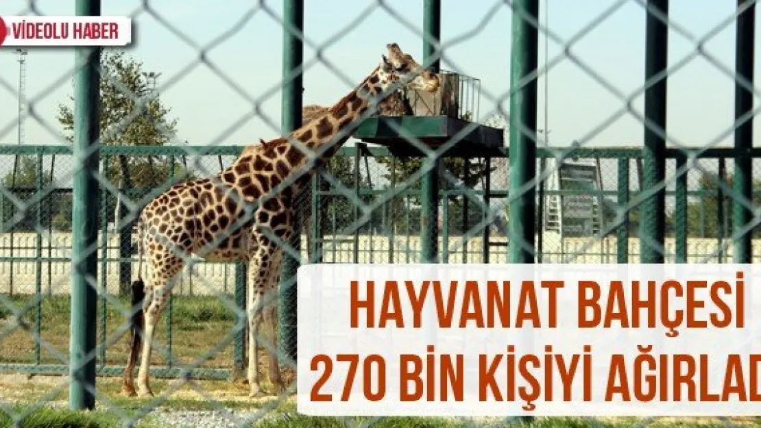 Hayvanat Bahçesi 270 bin kişiyi ağırladı