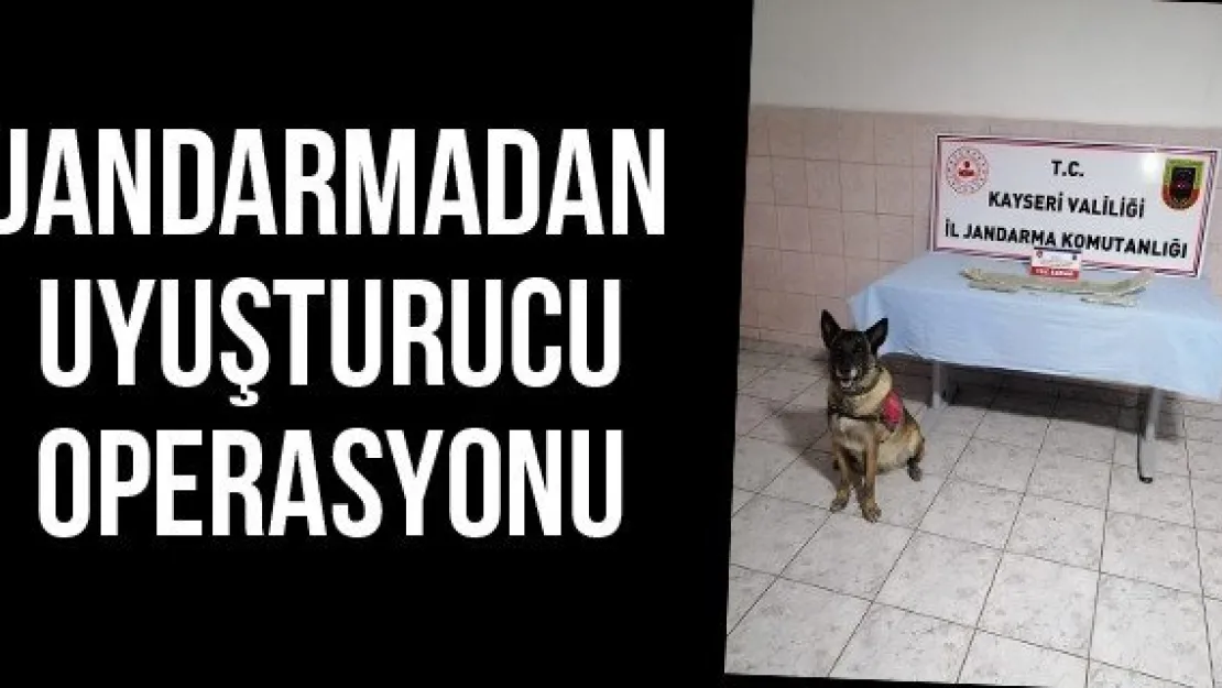 Jandarmadan uyuşturucu operasyonu