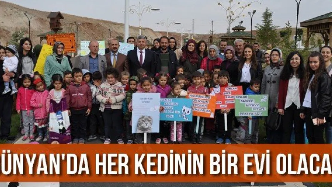 Bünyan'da her kedinin bir evi olacak