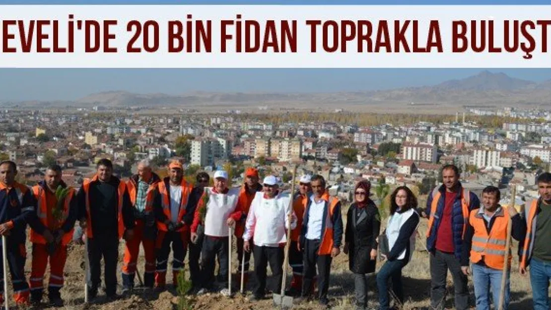 Develi'de 20 bin fidan toprakla buluştu