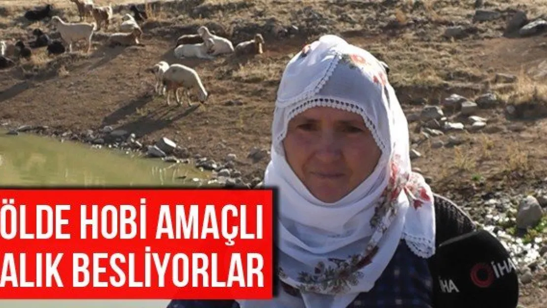 Gölde Hobi Amaçlı Balık Besliyorlar