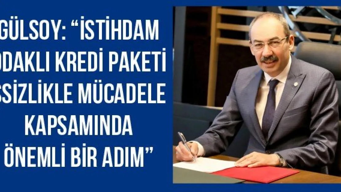 Gülsoy: 'İstihdam odaklı kredi paketi işsizlikle mücadele kapsamında önemli bir adım'