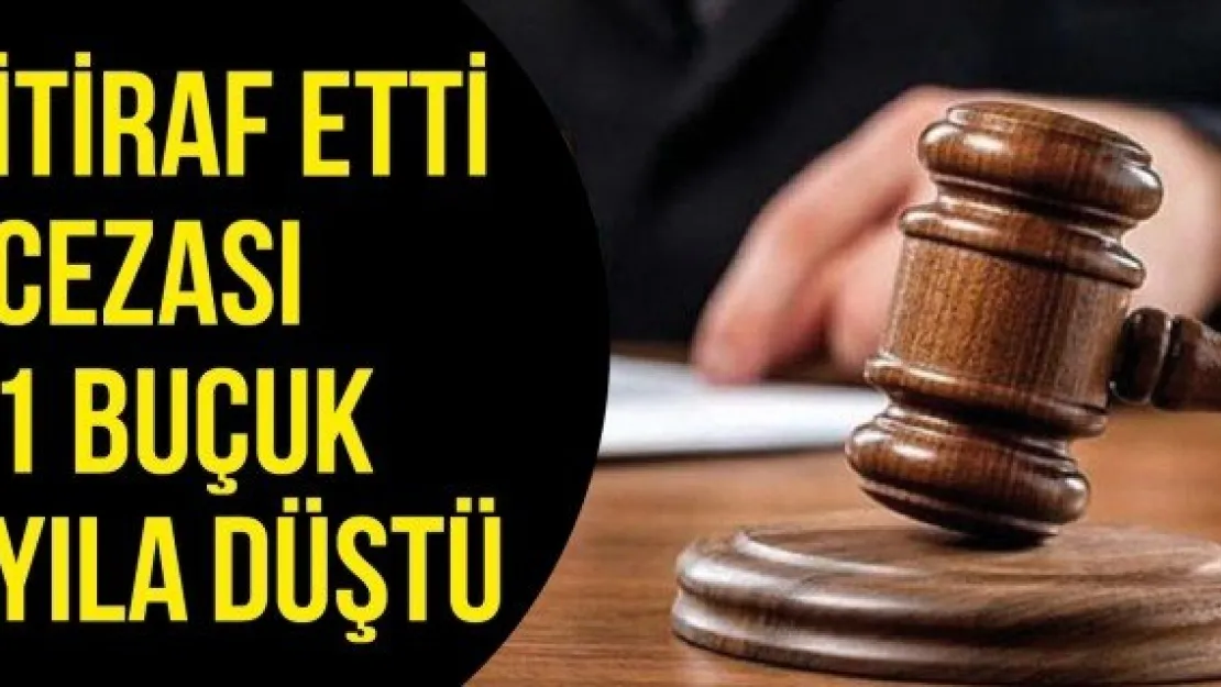 İtiraf etti cezası 1 buçuk yıla düştü