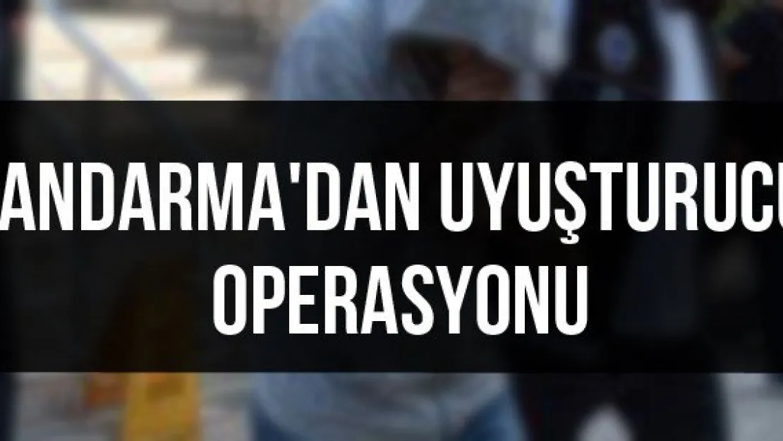 Jandarma'dan uyuşturucu operasyonu