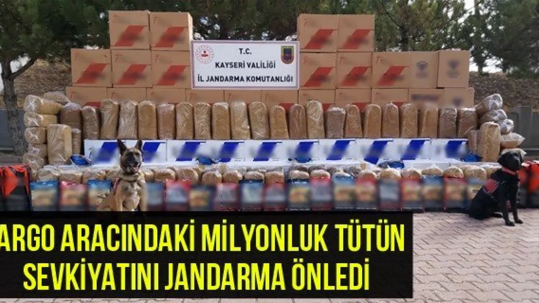 Kargo aracındaki milyonluk tütün sevkiyatını jandarma önledi
