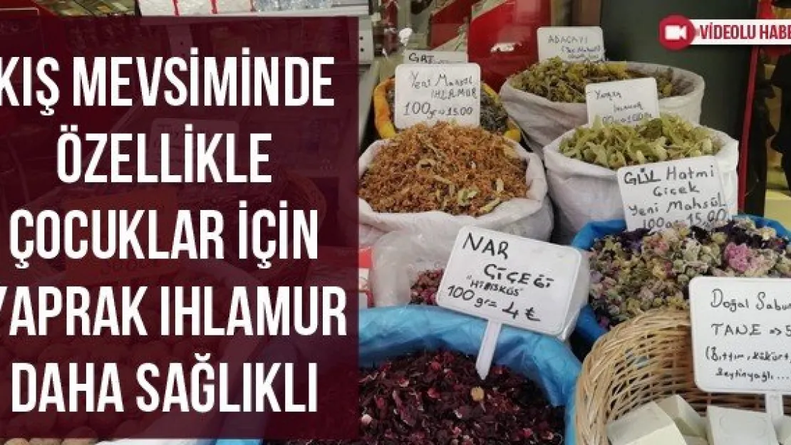 Kış mevsiminde özellikle çocuklar için yaprak ıhlamur daha sağlıklı