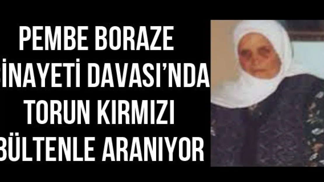 Pembe Boraze Cinayeti Davası'nda torun kırmızı bültenle aranıyor