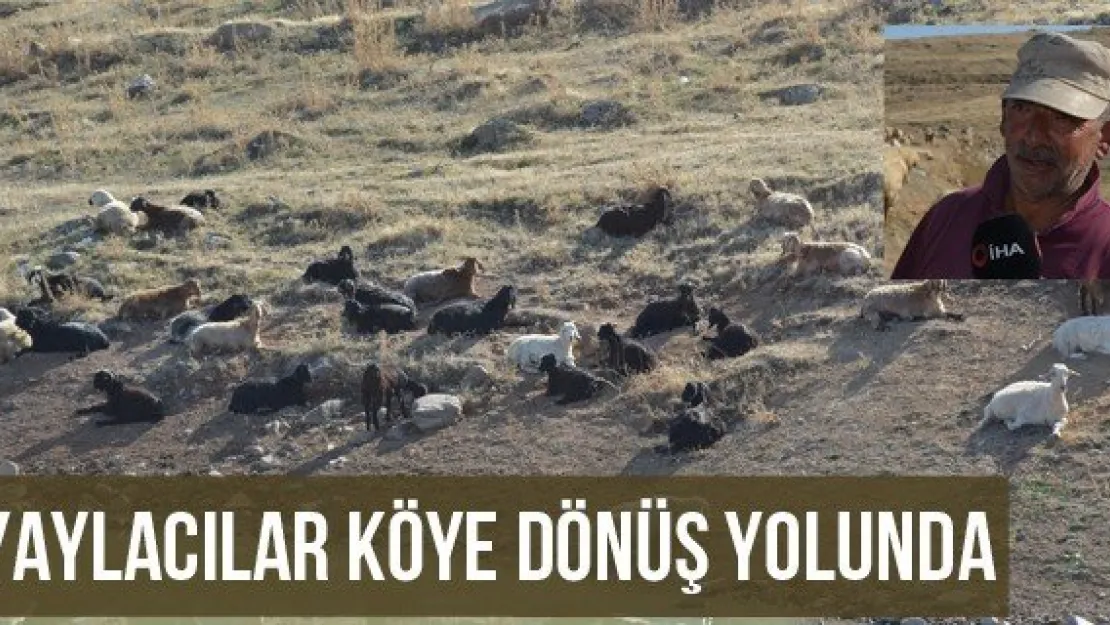 Yaylacılar köye dönüş yolunda