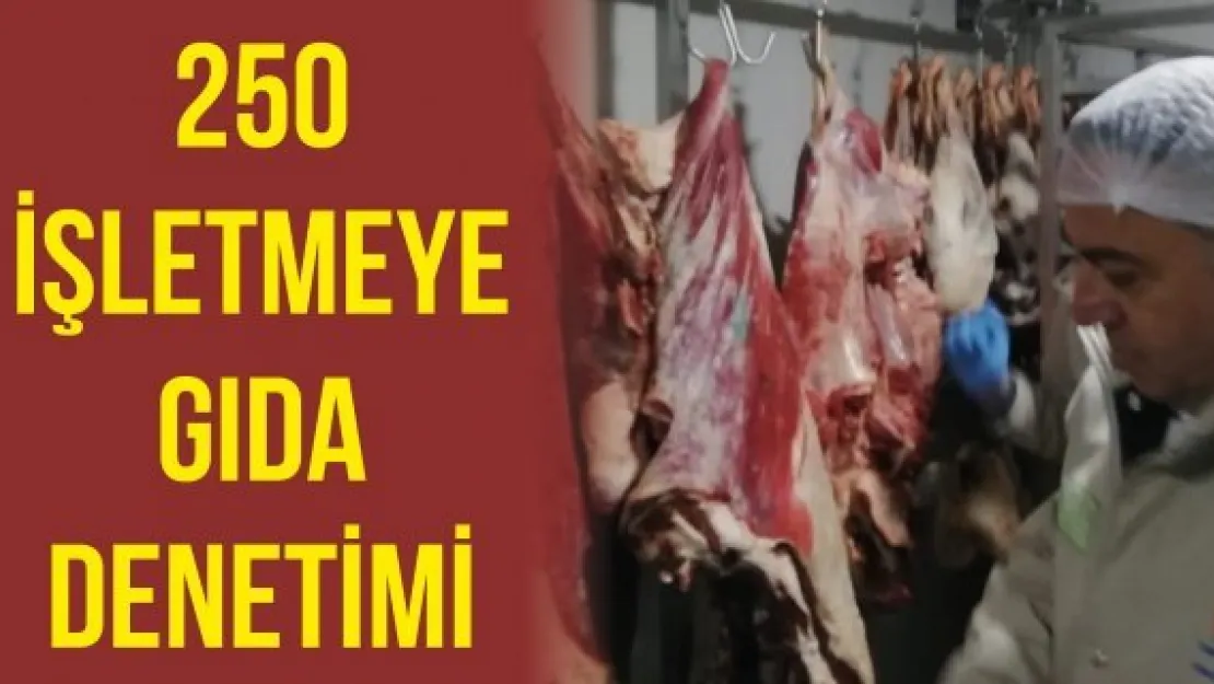 250 işletmeye gıda denetimi