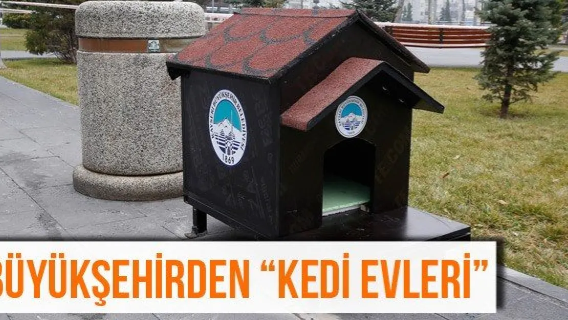 Büyükşehirden 'kedi evleri'