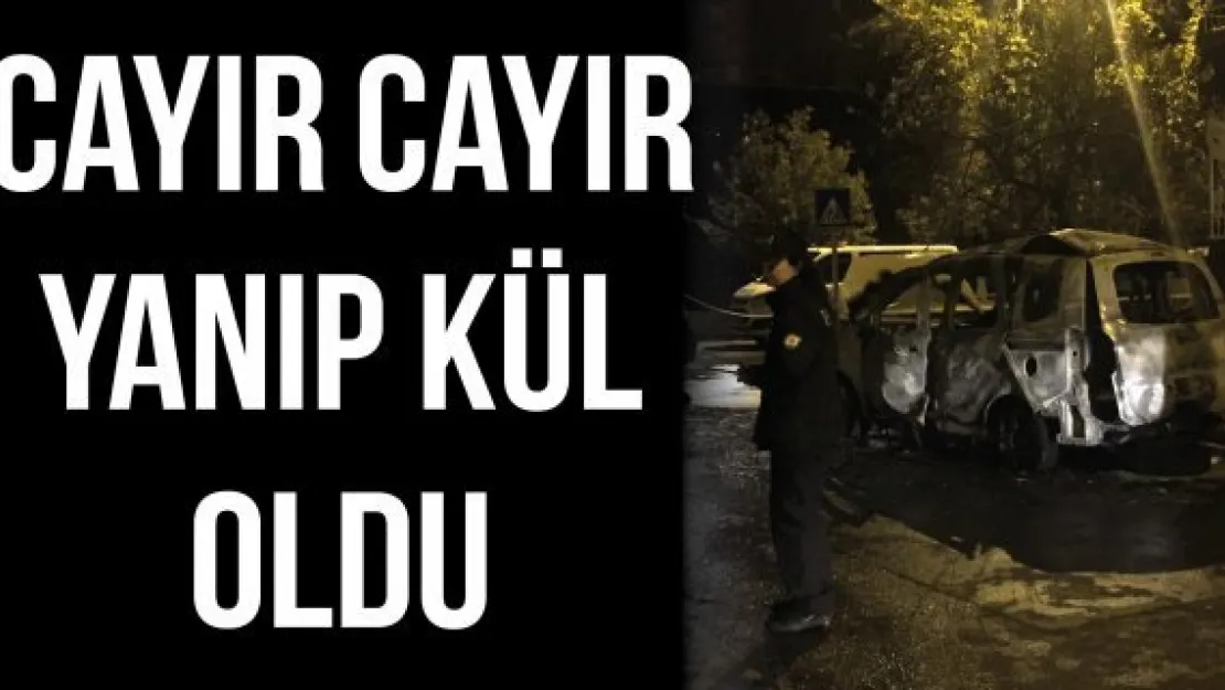 Cayır cayır yanıp kül oldu